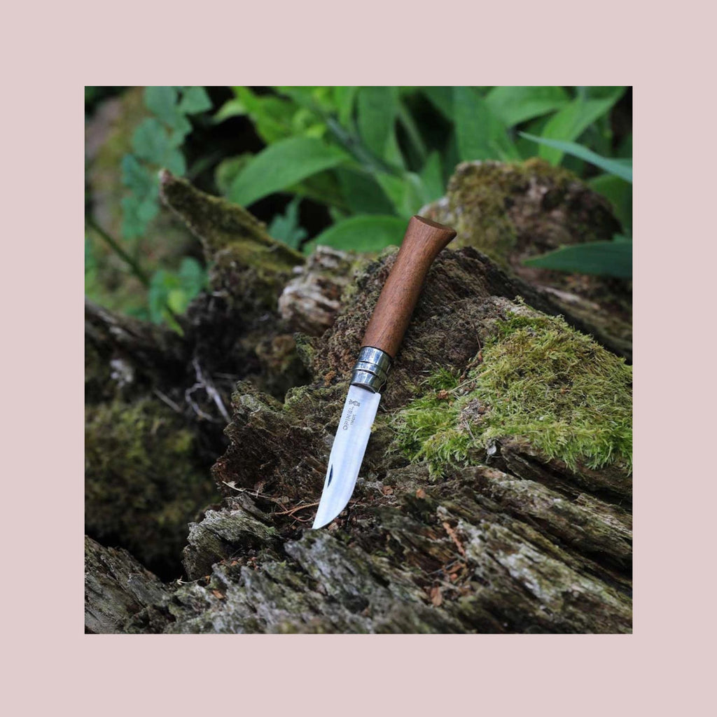 Opinel N°08 foldekniv i valnøddetræ med rustfri stålklinge