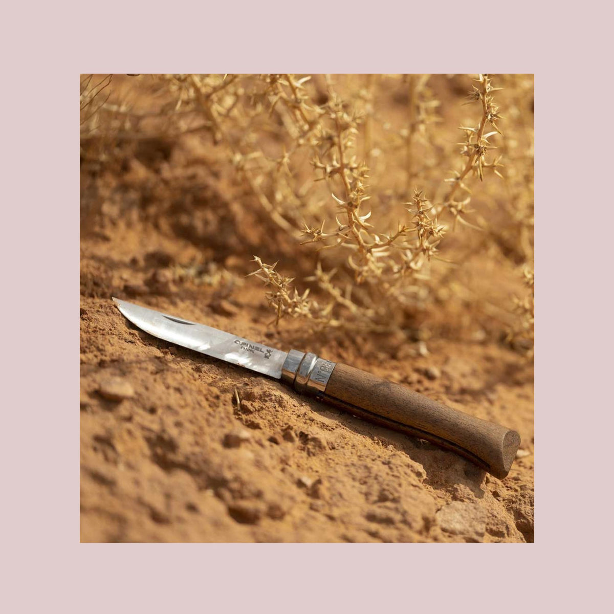 Opinel N°08 foldekniv i valnøddetræ med rustfri stålklinge