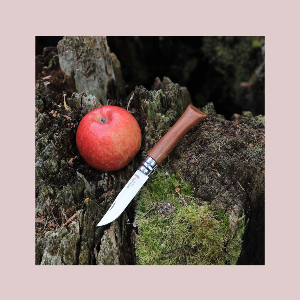 Opinel N°08 foldekniv i valnøddetræ med rustfri stålklinge